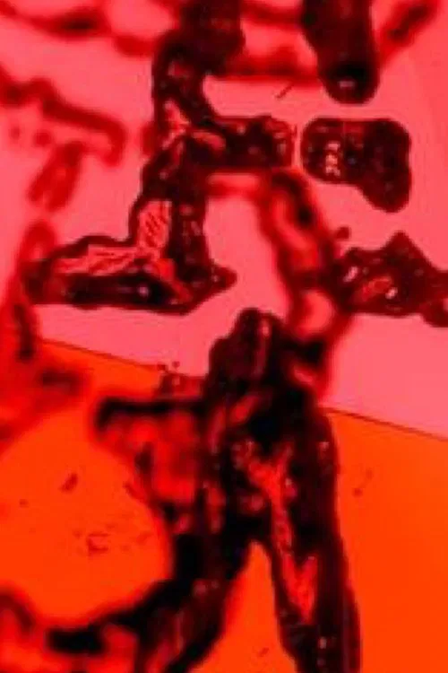 Poster do filme Sweethearts