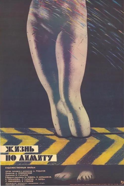 Limited Life movie poster