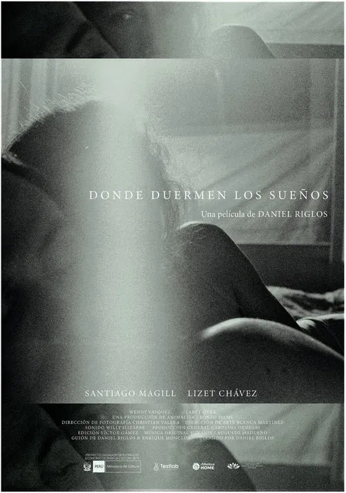 Where Dreams Sleep movie poster