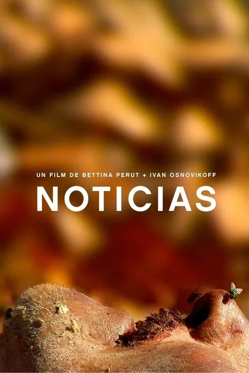 Noticias movie poster