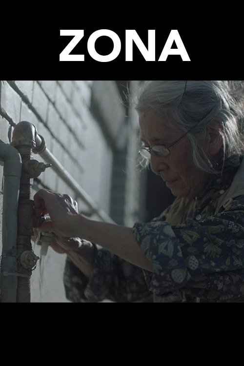 ZONA movie poster