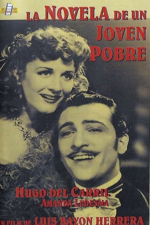La novela de un joven pobre movie poster
