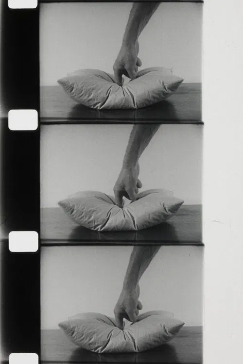 Sans titre 1 movie poster