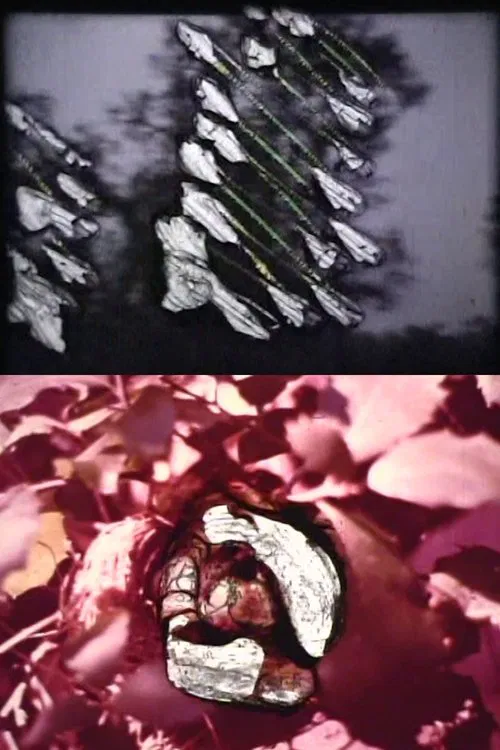 Reincarnation movie poster