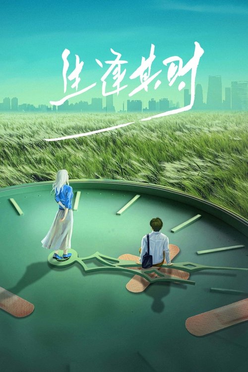 生逢其时 tv show poster