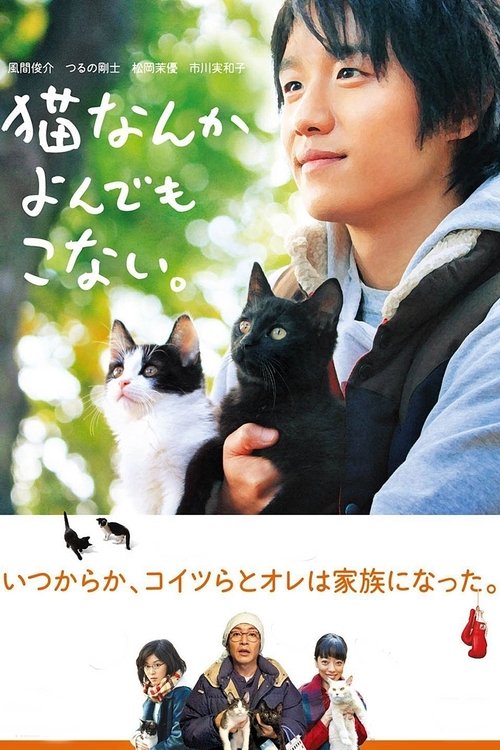 Cats Don't Come When You Call movie poster