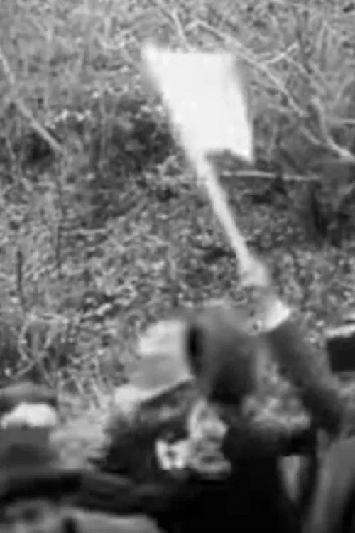 The Romanian Minister Istrate Visits Gopesh movie poster