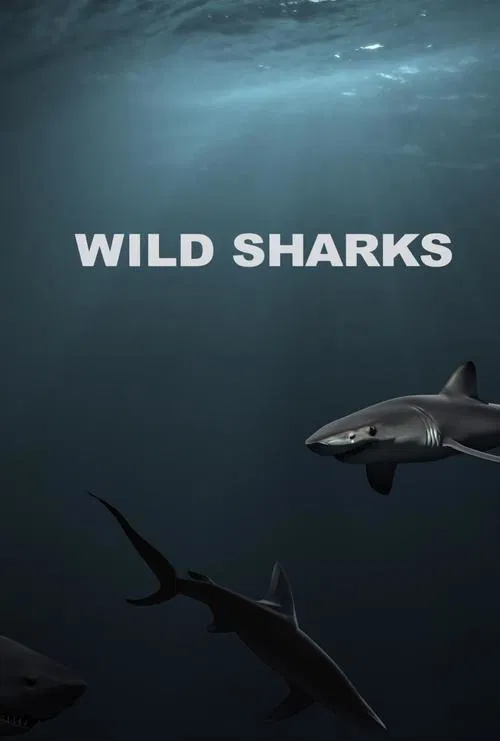 Wild Sharks movie poster