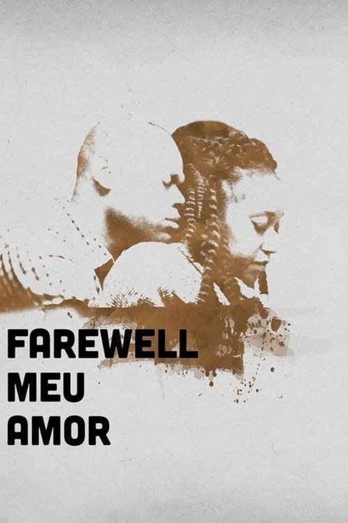 Farewell Meu Amor movie poster