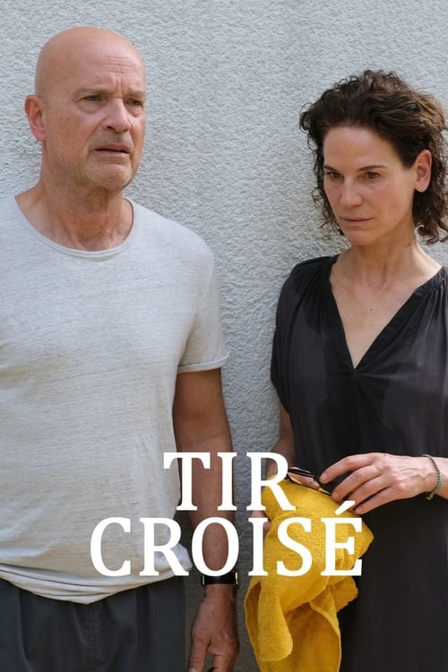 Querschuss movie poster