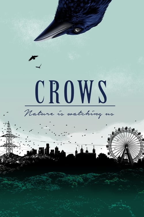 Crows - Nature Is Watching Us movie poster