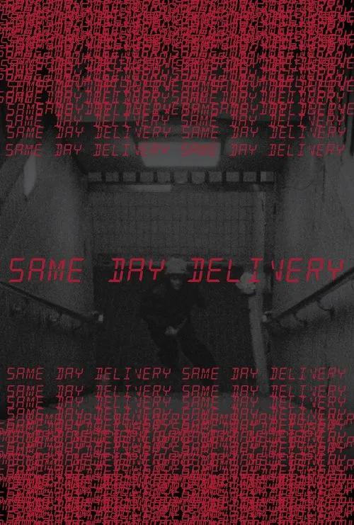 Poster do filme Same Day Delivery