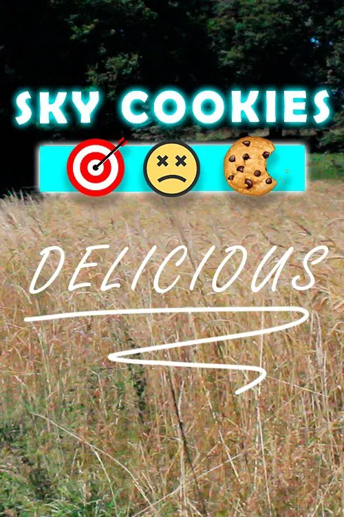 Sky cookies movie poster
