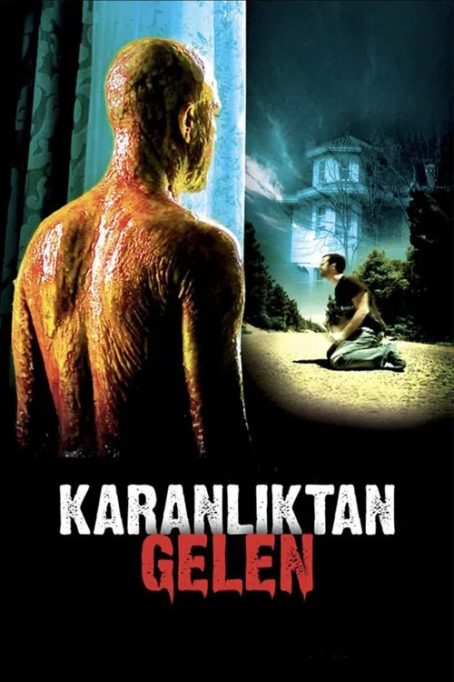 Poster do filme From The Darkness