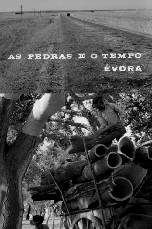 Poster do filme As Pedras e o Tempo