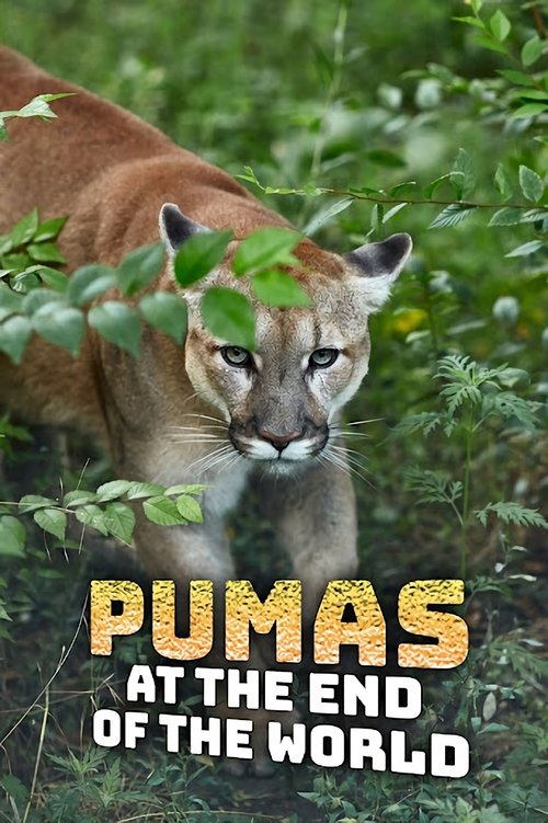 Pumas At The End of The World tv show poster