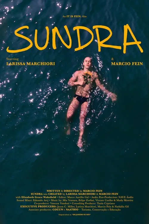 Em Janeiro Eu Rio movie poster