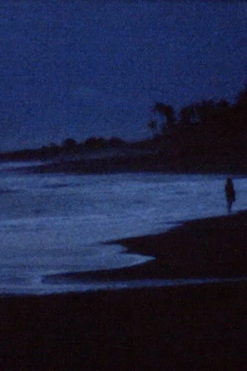 A conversation with the ocean movie poster
