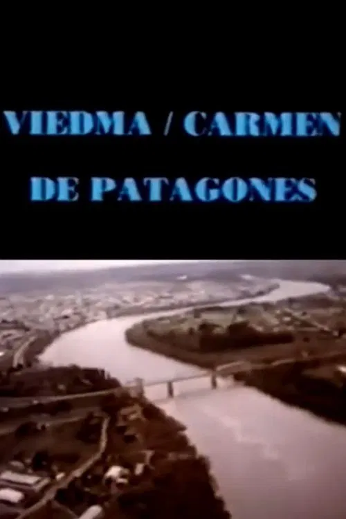 Viedma hoy movie poster