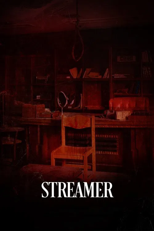 Streamer movie poster