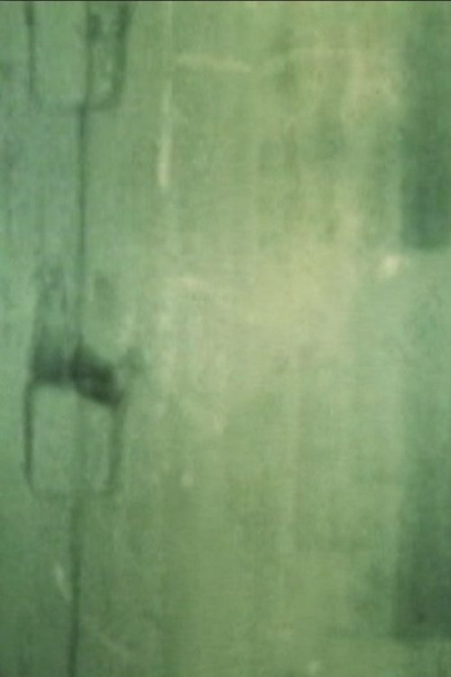 CLONE CHROMOSOME movie poster