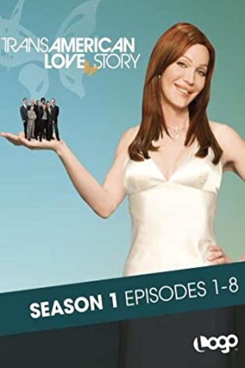 Transamerican Love Story tv show poster