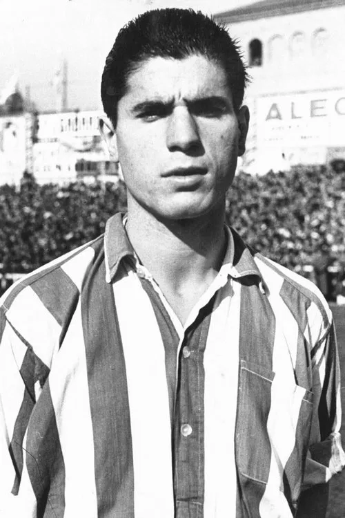 Foto de perfil de Agustín Gainza Bikandi 'Piru Gainza'