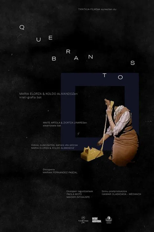 Breaches movie poster