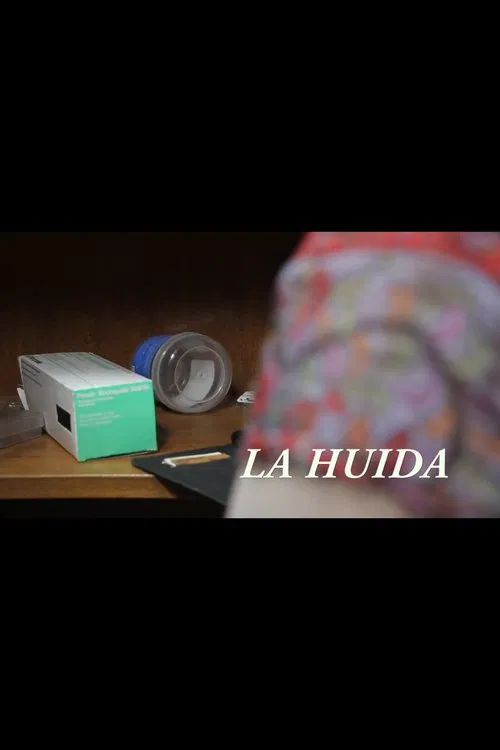 Poster do filme La huida
