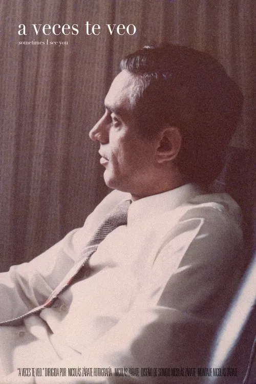 Sometimes I See You movie poster