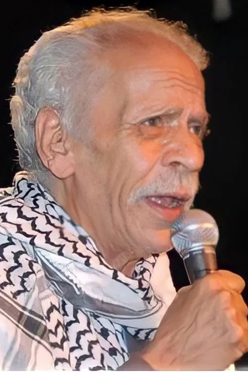Ahmad Fouad Negm profile picture