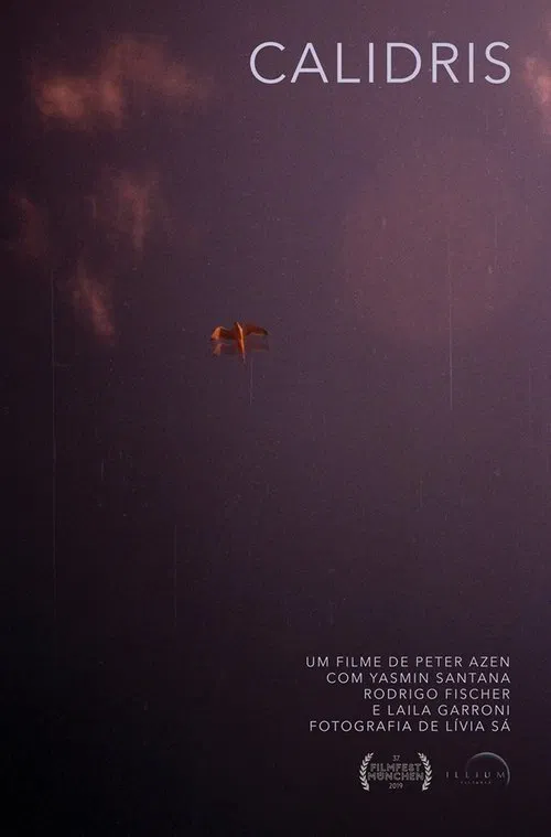 Calidris movie poster
