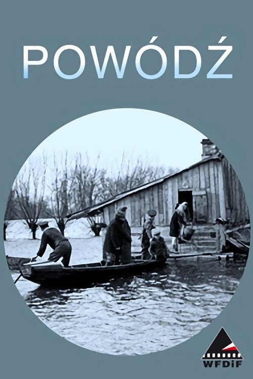 Storm in Poland movie poster