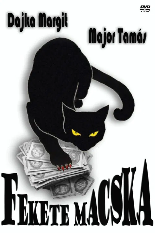 Fekete macska movie poster