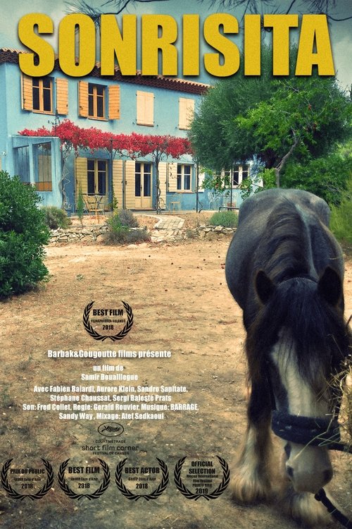 Sonrisita movie poster