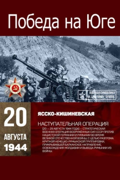 Victory in the South movie poster