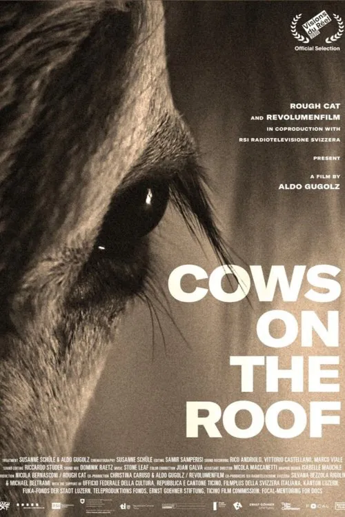 Poster do filme Cows on the Roof