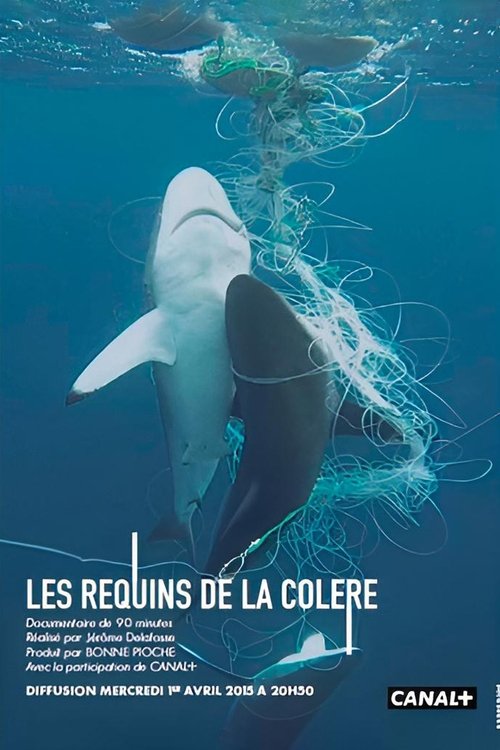 Les Requins de la Colère movie poster