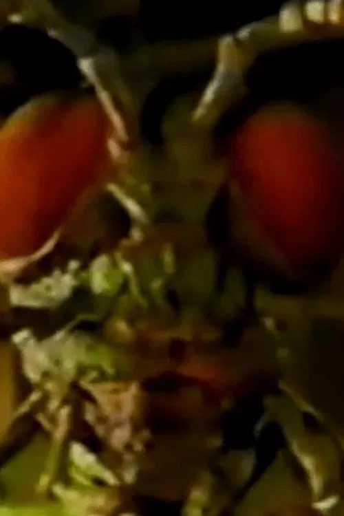 Poster do filme Ghosts of Fear Street: Return of the Bugman