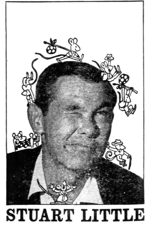 Stuart Little movie poster