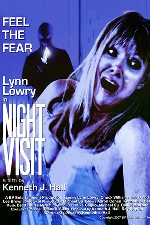 Night Visit movie poster