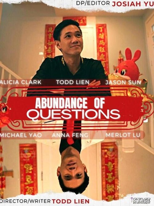 Poster do filme Abundance of Questions