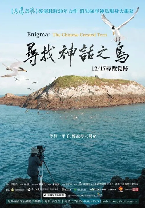 Enigma: The Chinese Crested Tern movie poster