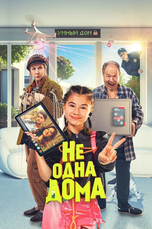 Not Home Alone movie poster