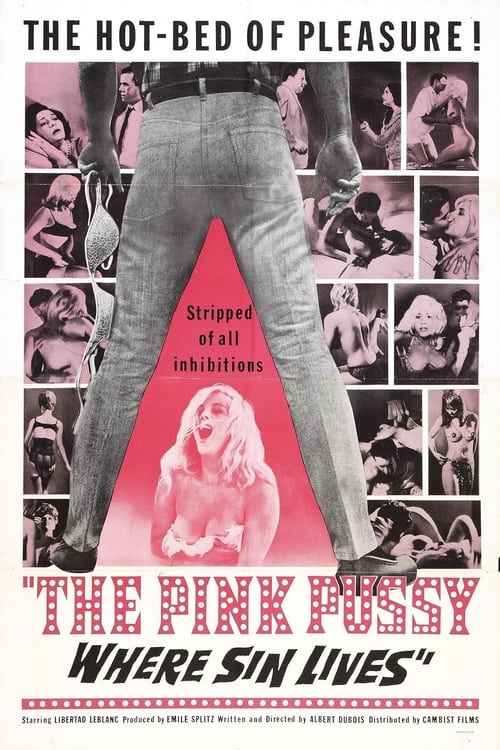 Harassed movie poster