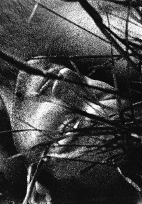 Poster do filme The Urine Crazed Corpse Catchers