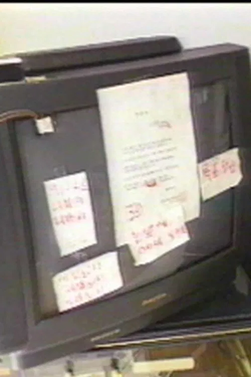 People In A Flood Of Media movie poster