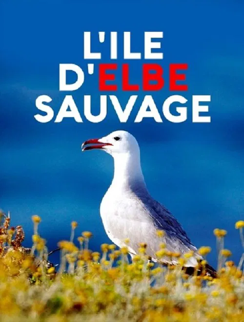 Wildes Elba movie poster