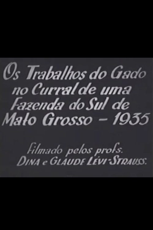 Cattle Work in the Corral of a Farm in Southern Mato Grosso movie poster