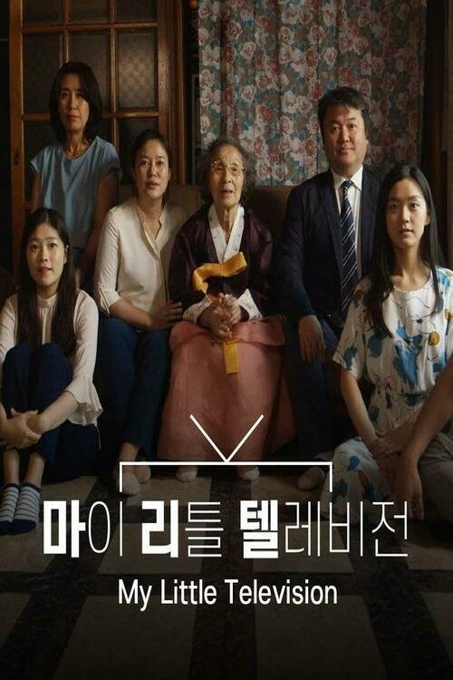 My Little Television movie poster
